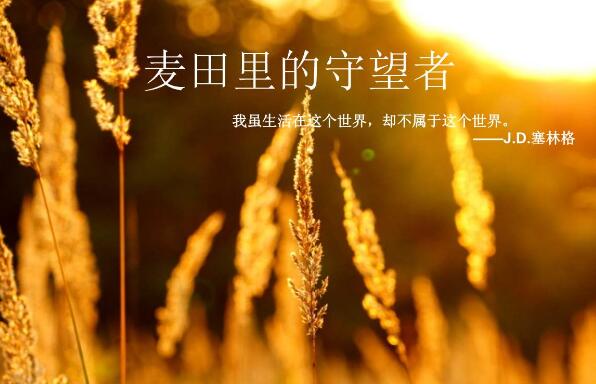 《麦田里的守望者》.jpg 《麦田里的守望者》.jpg