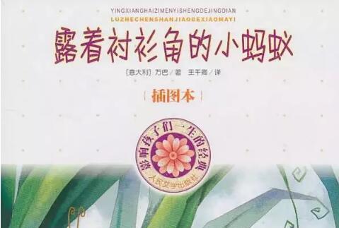 《露着衬衫角的小蚂蚁》读书笔记好句好句及感悟赏析.jpg 《露着衬衫角的小蚂蚁》读书笔记好句好句及感悟赏析.jpg