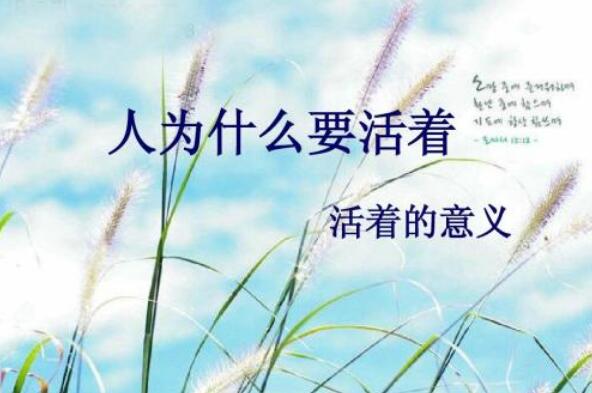 人为什么而活着.jpg 人为什么而活着.jpg