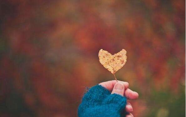 耐心.jpg 耐心.jpg