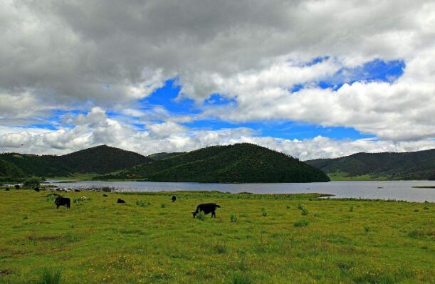 高原上的笑颜.jpg 高原上的笑颜.jpg