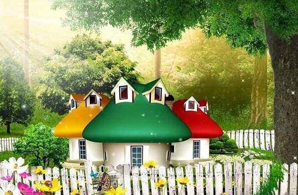 森林超市.jpg 森林超市.jpg