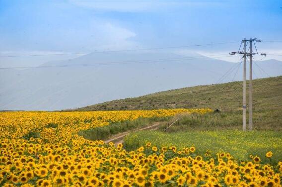 路并不遥远.jpg 路并不遥远.jpg