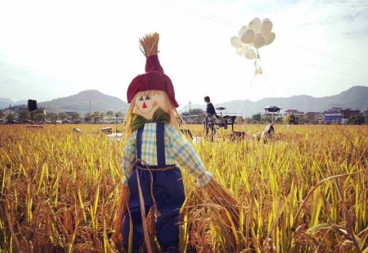 稻草人.jpg
