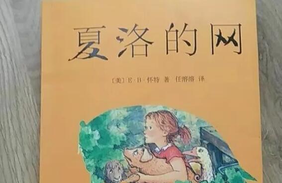 洛的网.jpg 洛的网.jpg