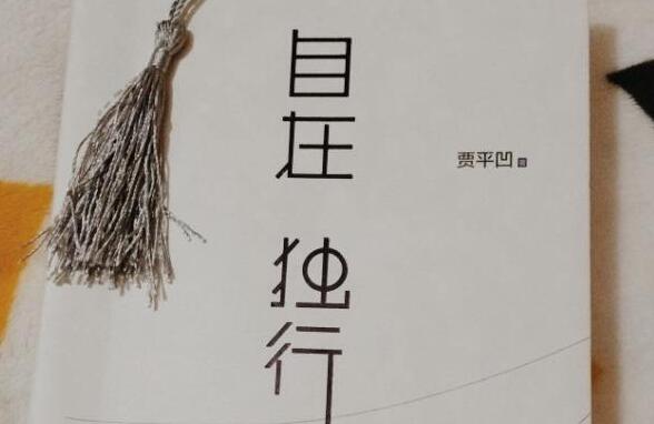 贾平凹《自在独行》读后感800字.jpg 贾平凹《自在独行》读后感800字.jpg