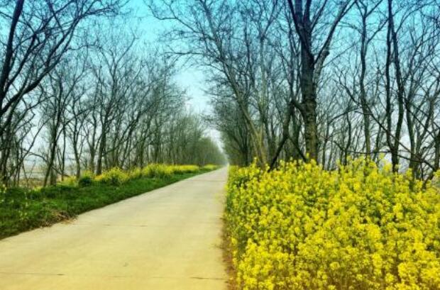 回老家.jpg 回老家.jpg