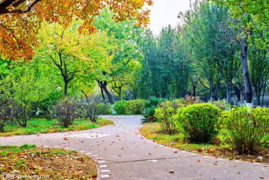 校园的景色.jpg 校园的景色.jpg