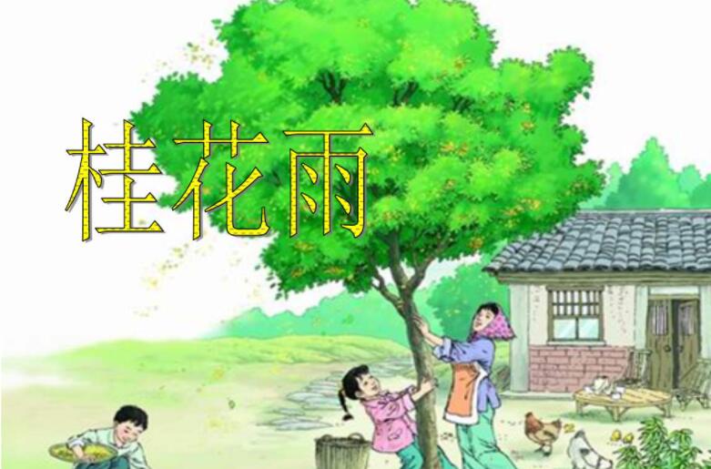 《桂花雨》.jpg 《桂花雨》.jpg