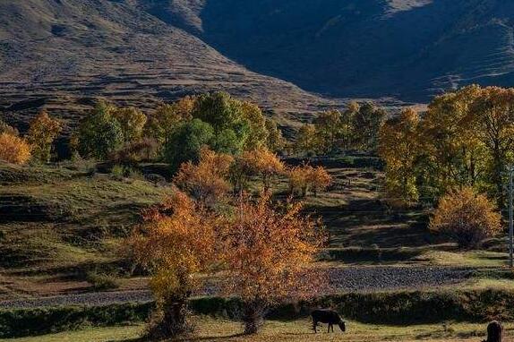 后山.jpg 后山.jpg