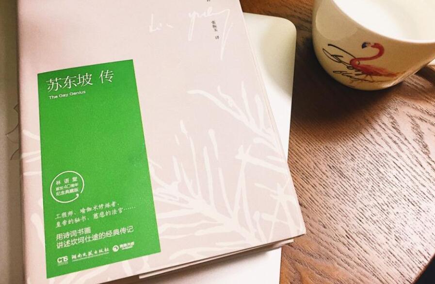 苏东坡传.jpg 苏东坡传.jpg