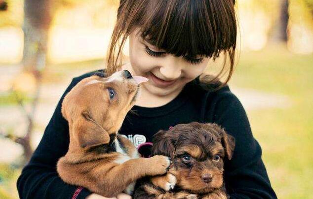 我不该这样叛逆.jpg 我不该这样叛逆.jpg