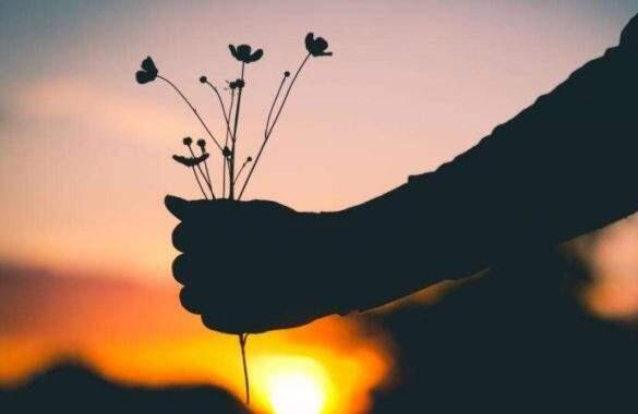 遇见.jpg 遇见.jpg