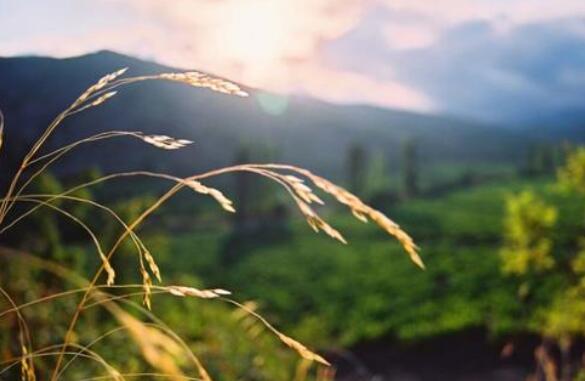 唱给大自然的赞歌.jpg 唱给大自然的赞歌.jpg