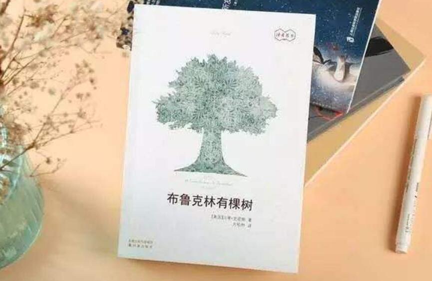 布鲁克林有棵树.jpg 布鲁克林有棵树.jpg