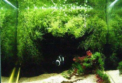 总有一种颜色属于我-绿色.jpg 总有一种颜色属于我-绿色.jpg