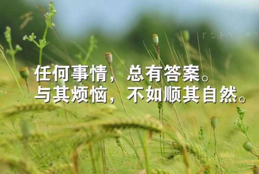 平凡中的发现.jpg 平凡中的发现.jpg