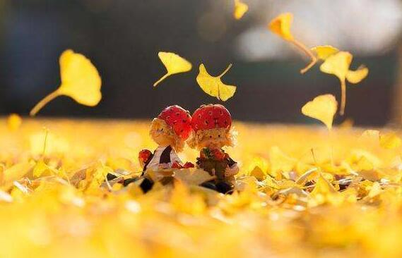 走过,才明白.jpg 走过,才明白.jpg