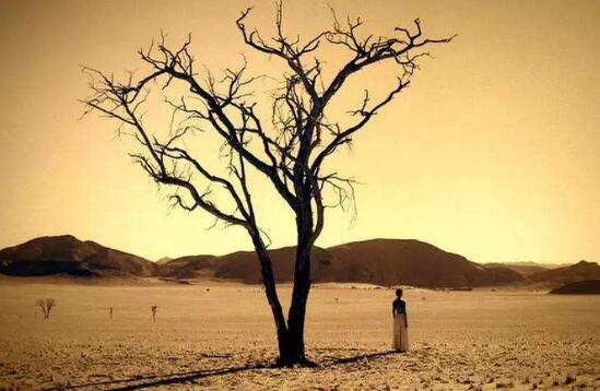 宛如一首歌.jpg 宛如一首歌.jpg