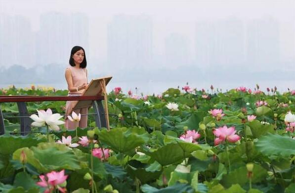 美,悄然绽放.jpg 美,悄然绽放.jpg