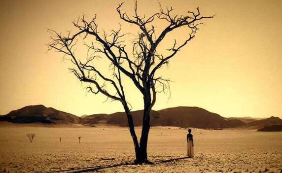 自然宛如一首歌.jpg 自然宛如一首歌.jpg