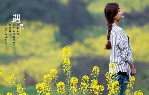 遇见.jpg