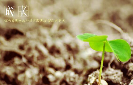 成长.jpg