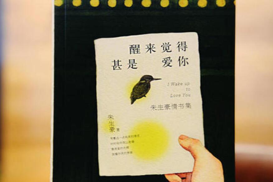 《醒来还能看见你吗》书籍.jpg 《醒来还能看见你吗》书籍.jpg