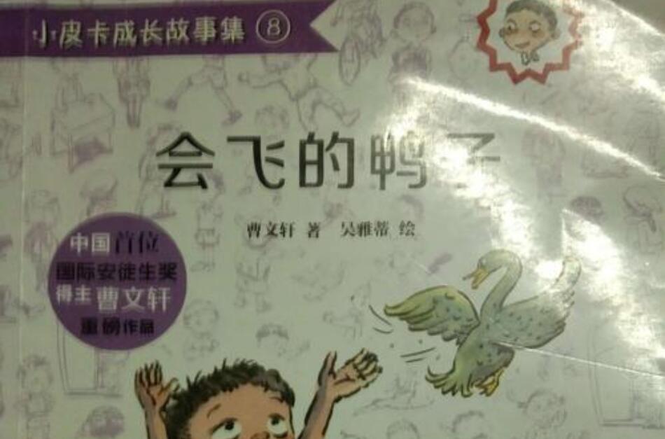 《会飞的鸭子》书籍.jpg