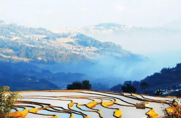 《最后的夏天》.jpg 《最后的夏天》.jpg