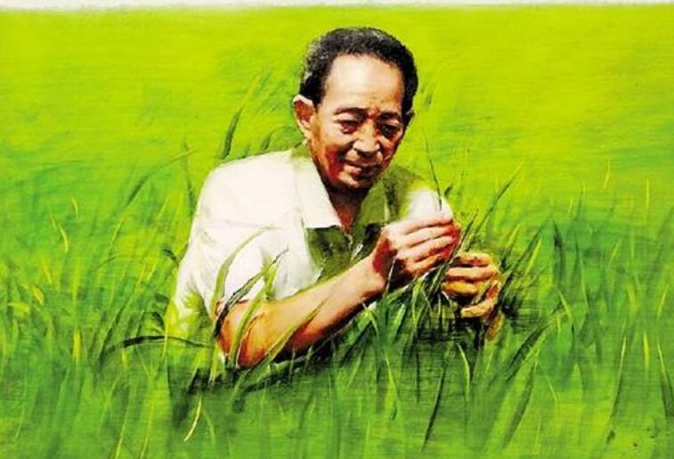 《人物袁隆平》.jpg 《人物袁隆平》.jpg