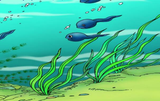 小蝌蚪成长记作文400字-描写动物.jpg 小蝌蚪成长记作文400字-描写动物.jpg