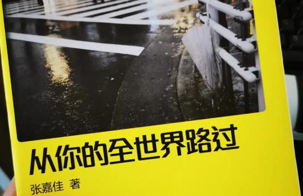 《从你的全世界路过》.jpg 《从你的全世界路过》.jpg