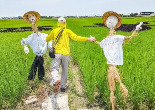 我家的老爷-四年级a href=