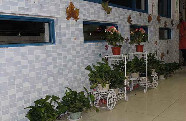 像花房一样的教室.jpg 像花房一样的教室.jpg