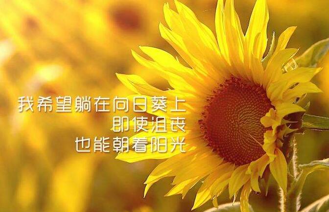 人生需要乐观.jpg 人生需要乐观.jpg