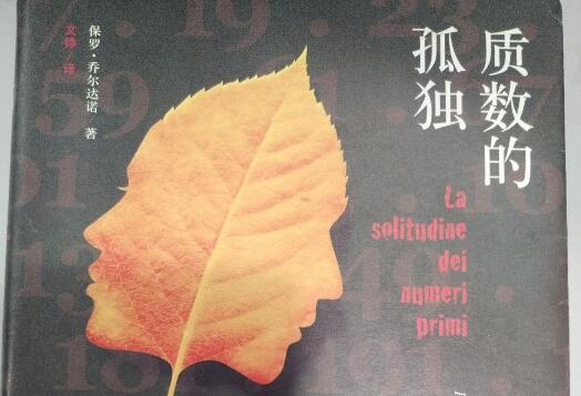《质数的孤独》.jpg