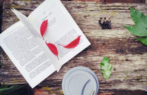 《背书》 《背书》