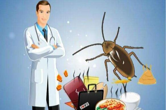 杀虫.jpg 杀虫.jpg