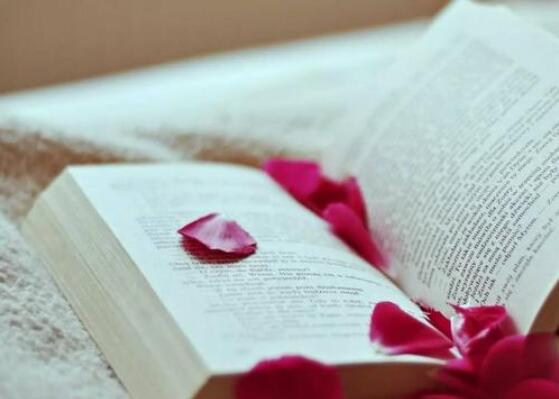 我的文字情结.jpg 我的文字情结.jpg