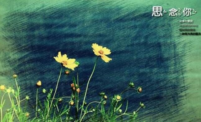 今天的想念.jpg