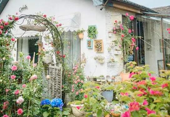 秘密花园.jpg 秘密花园.jpg