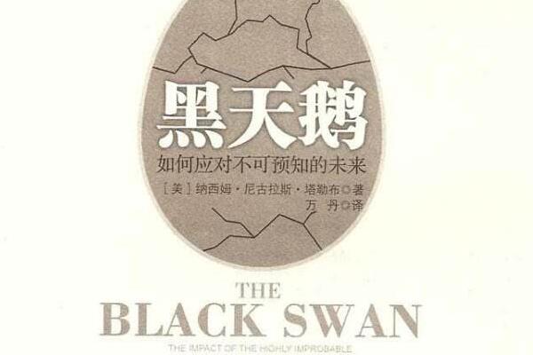 《黑天鹅》读书笔记及心得感悟800字.jpg 《黑天鹅》读书笔记及心得感悟800字.jpg