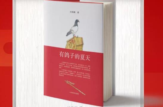 《有鸽子的夏天》 《有鸽子的夏天》