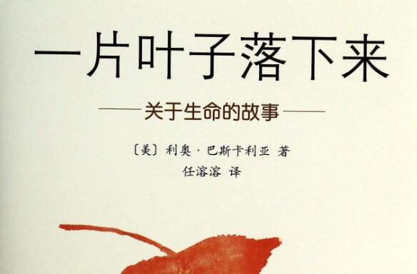 读《一片叶子落下来》有感400字.jpg 读《一片叶子落下来》有感400字.jpg