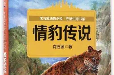 《情豹传说》 《情豹传说》