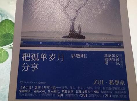 《把孤单岁月分享》