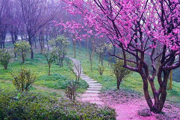 心中住着春天.jpg 心中住着春天.jpg