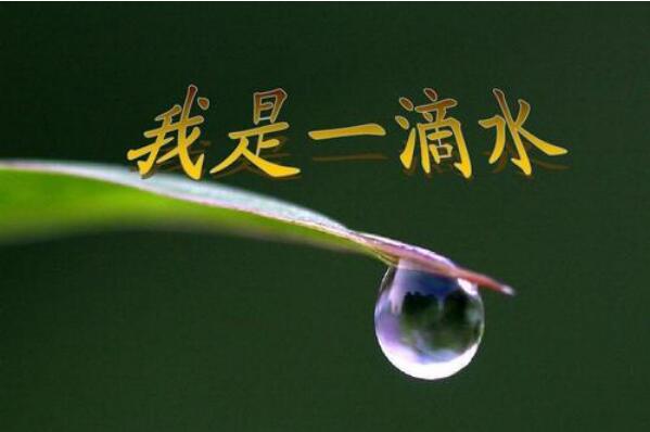 我骄傲我是一滴水.jpg 我骄傲我是一滴水.jpg