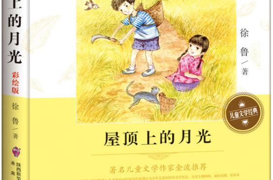 读书心得《屋顶上的月光》 读书心得《屋顶上的月光》